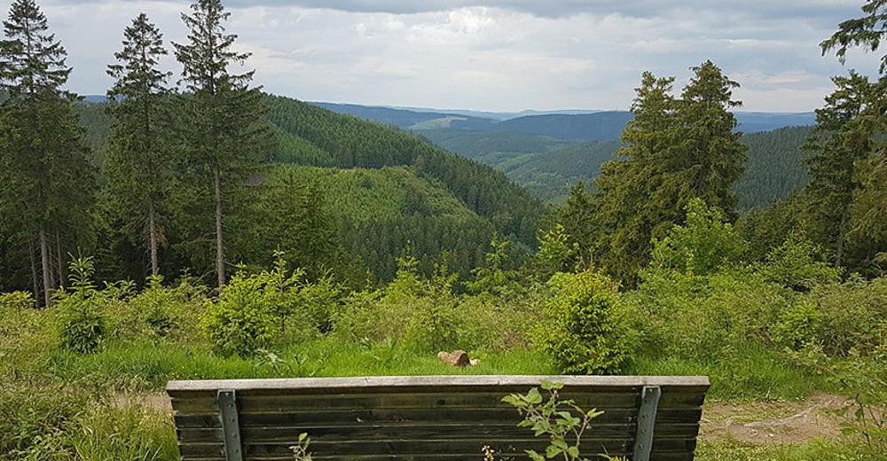فيلا Ferienhaus Astenblick - Ideal Fuer Weihnachtsfeiern Und Familienfeiern Bietet Schlafplaetze Fuer Bis Zu 35 Personen وينتربرغ المظهر الخارجي الصورة